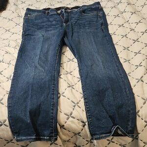 Torrid Jeans